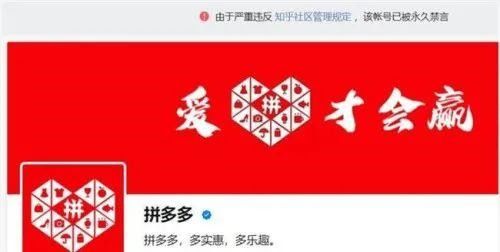 (拼多多的剑是真剑吗)探寻剑刃风华在拼多多上的独特之处