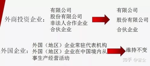 澳门今晚必中三肖|专业分析解释落实_智慧版SIP.0.897