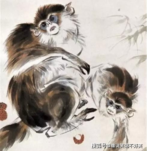 今晚四不像必中一肖图小编|经典案例解释落实_冒险版Eleme.6.716